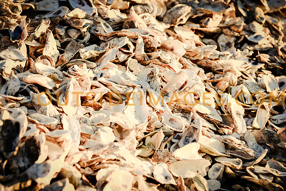 131130_TODD_0596