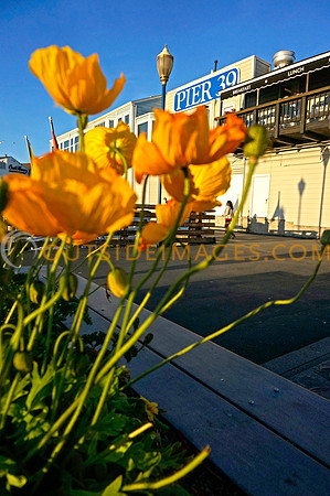 130410_GRIESER_1378