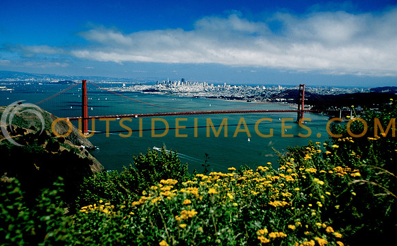 ggbridge