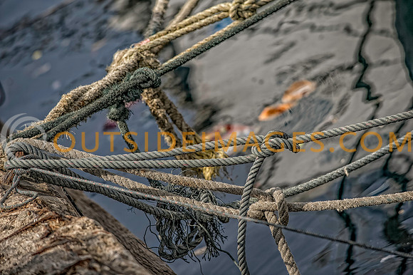 111223_TODD_0365