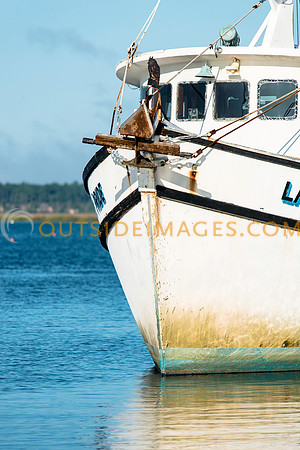 160521_TODD_0014