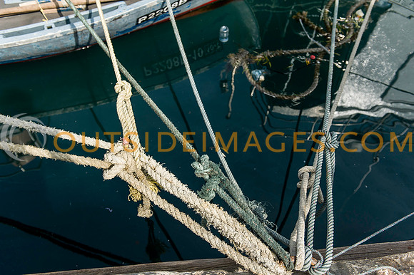 111223_TODD_0136