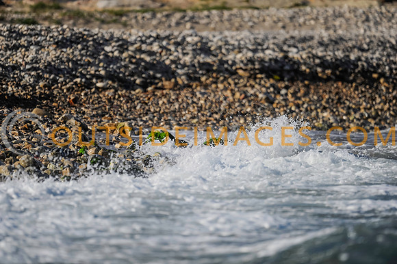 130424_TODD_0611