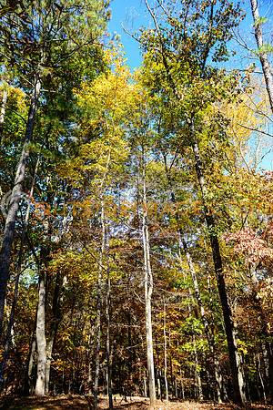 __131103_TODD_0546