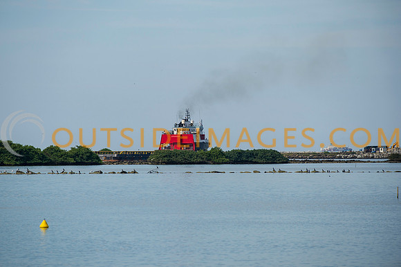 120412_TODD_0237