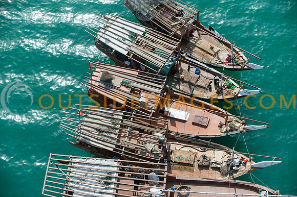 Traditional sailing Dhows get ready for a race.