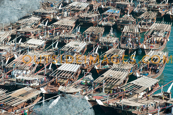 Traditional sailing Dhows get ready for a race.