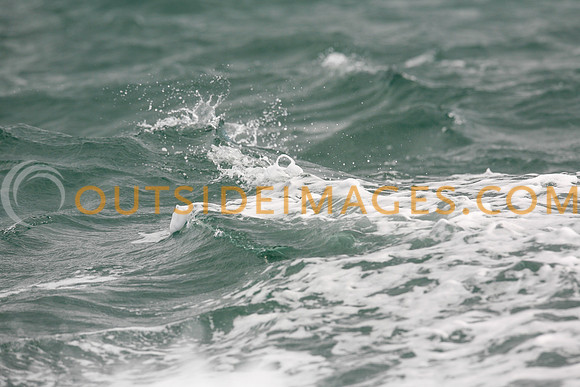 070813_TODD_3196