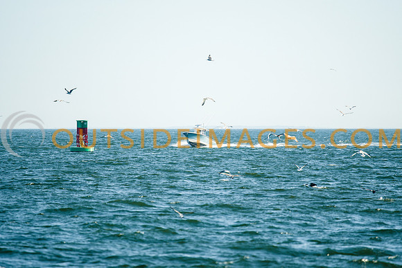 170716_STOCKIMAGES_0339_TODD-1