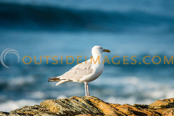170816_STOCK_NAUTICAL_IMAGES_0932_TODD