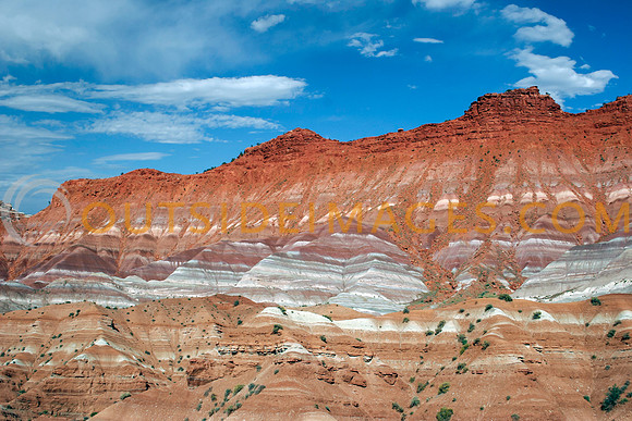 050526_GRIESER_6311