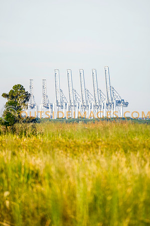 141019_TODD_058