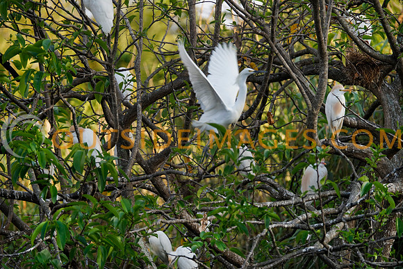 130422_GRIESER_459
