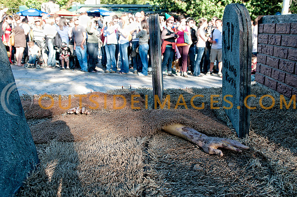 © WWW.OUTSIDEIMAGES.COM