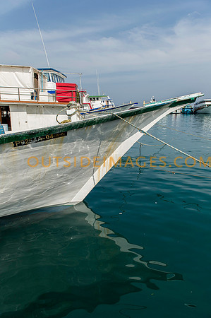 111223_TODD_0099