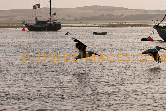 _MG_8888