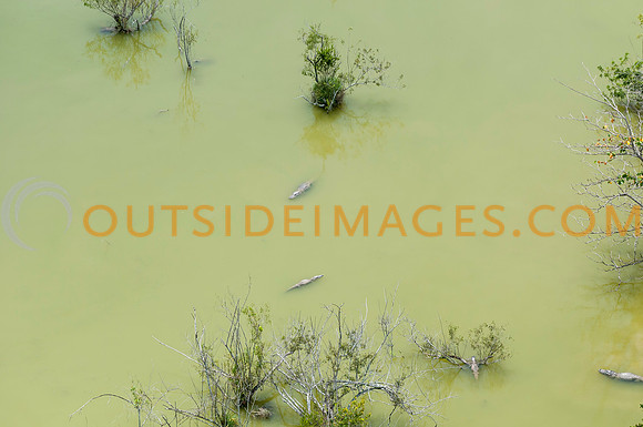 120518_TODD_0593