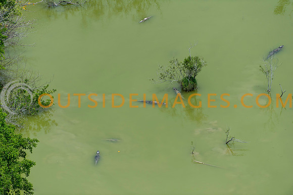 120518_TODD_0028