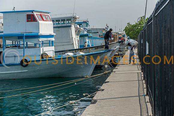 111223_TODD_0101