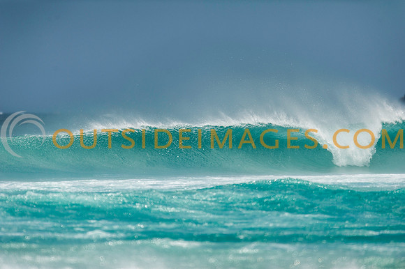 111126_TODD_0186