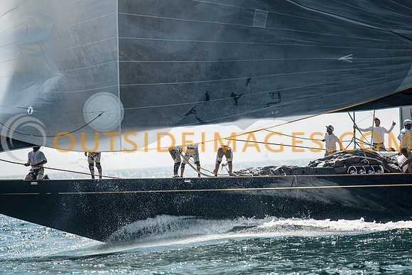 170821_J_CLASS_REGATTA_IMAGES_1232_TODD