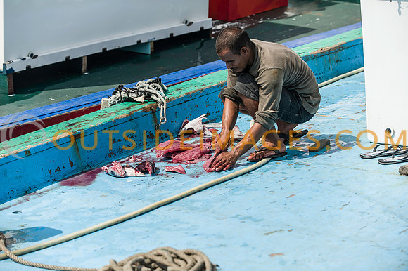 111223_TODD_0253
