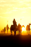 © WWW.OUTSIDEIMAGES.COM