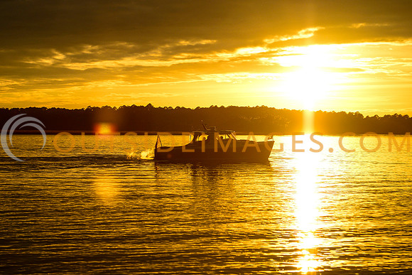 131130_TODD_0576