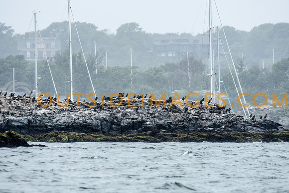 190718__NAUTICAL_IMAGES_1032_TODD