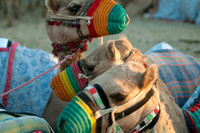 © WWW.OUTSIDEIMAGES.COM