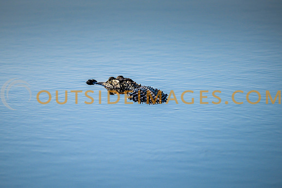 130615_TODD_00773