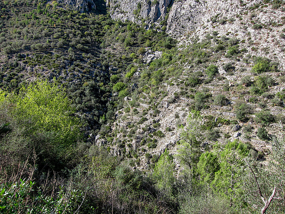 121028_BRENNAN_0037