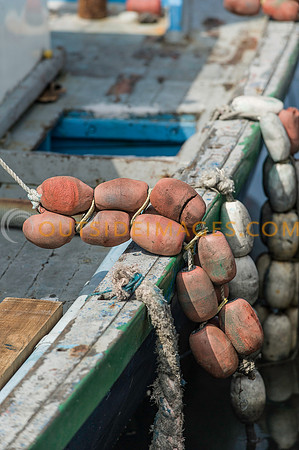 111223_TODD_0224