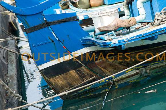 111223_TODD_0291