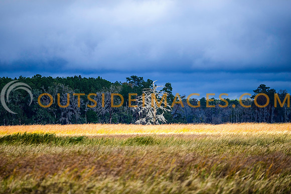 131127_TODD_0159