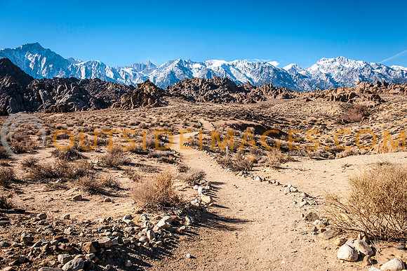 131206_TODD_00799