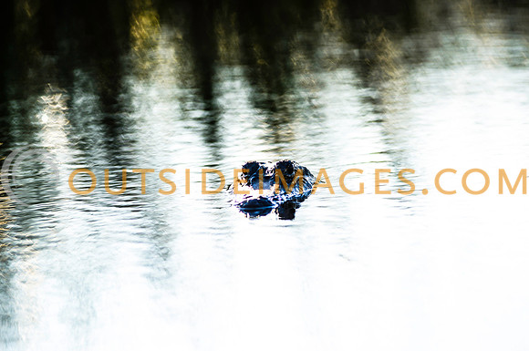 130615_TODD_00860