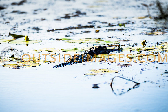 130615_TODD_00837