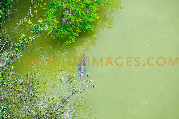 120518_TODD_0603