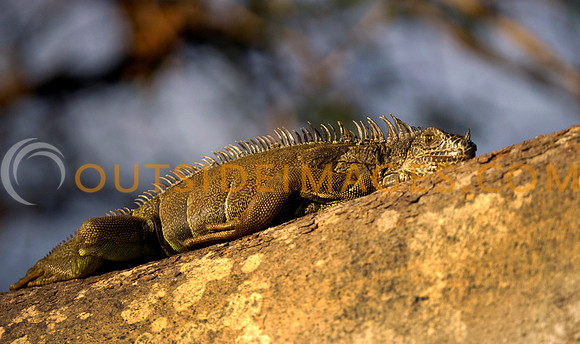 130422_GRIESER_436