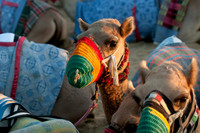 © WWW.OUTSIDEIMAGES.COM