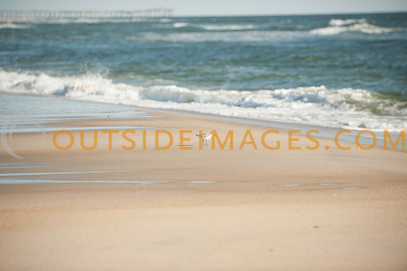151015_TODD_0662