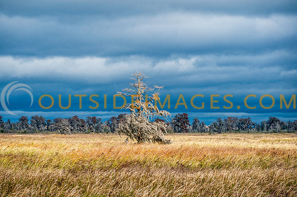131127_TODD_0085