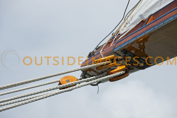 _D313864