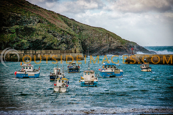 081123_TODD_2304