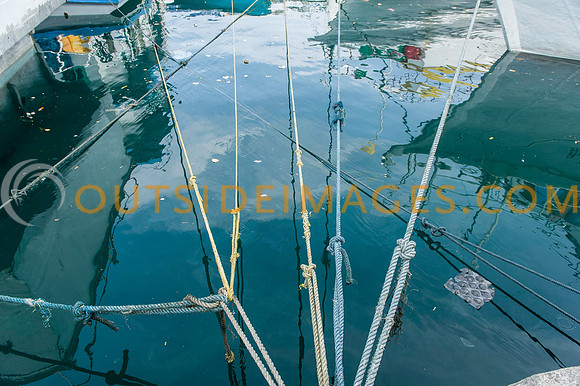 111223_TODD_0129