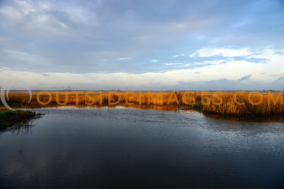 140329_TODD_0055