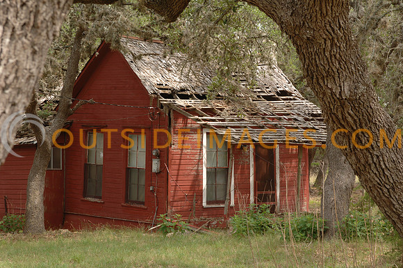 DSC_0006 (2)