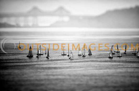 DSC_5874_1
