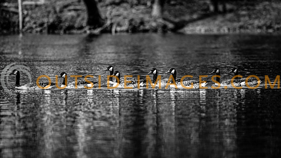 ____131027_TODD_0302